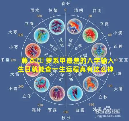 藤 🦋 萝系甲最差的八字输入生日就能查一生运程真有这么神